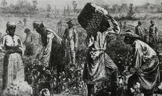 厄立特里亚人口面积