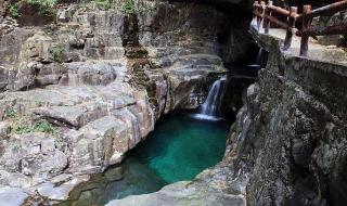 韶关恐龙博物馆 韶关恐龙博物馆