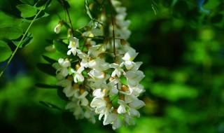 祝愿企业前程好诗句 祝愿企业前程好诗句