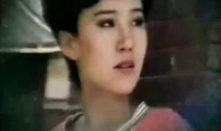 昨夜星辰电视剧