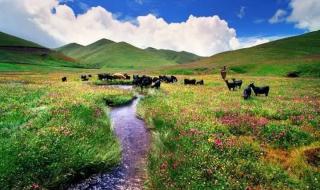 一滴水只有融入大海