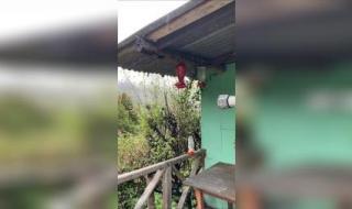 哥斯达黎加到底咋样