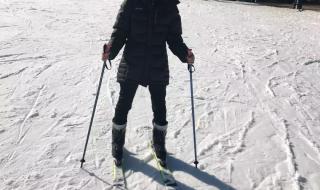 今年冬奥会是几月几日 今年冬奥会是几月几日